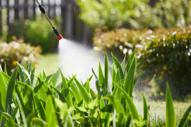 24/7 Emergency Mosquito Control experts in Suwanee, GA