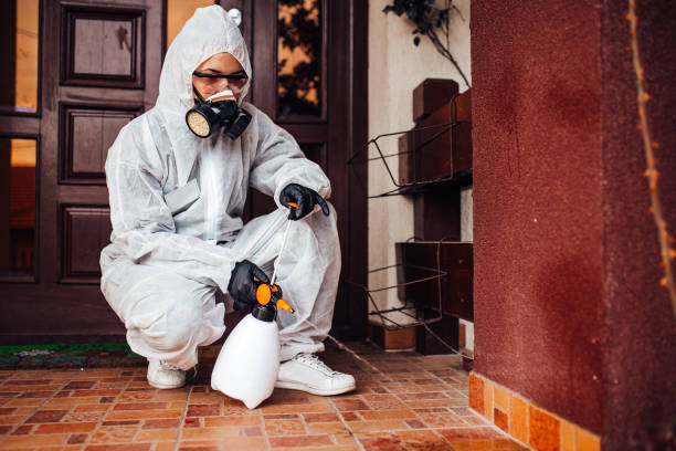 Reliable Mosquito Control contractor in Suwanee, GA by Show Me Pest Control